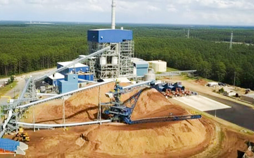 ALBANY GREEN ENERGY BIOMASS-FUELED COGENERATION FACILITY