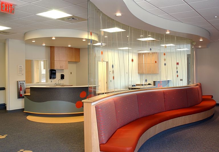 CHILD HEALTH INSTITUTE