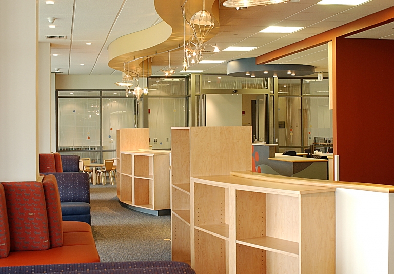 CHILD HEALTH INSTITUTE